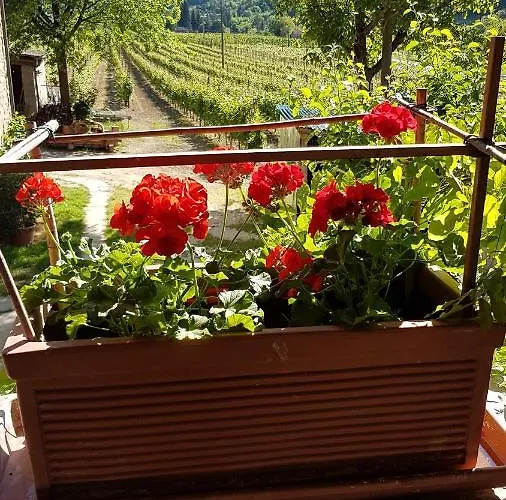 #fortcozzo - Jacuzzisuite & Sauna - Casola Valsenio 3* Mercatale (Ravenna)