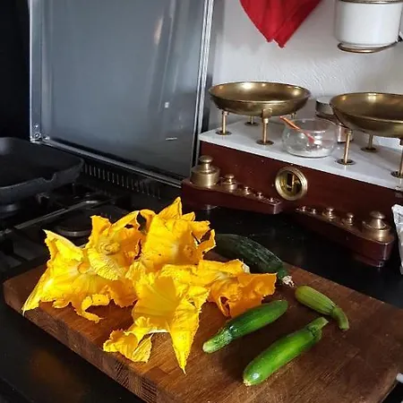 Bed & Breakfast #fortcozzo - Jacuzzisuite & Sauna - Casola Valsenio Mercatale (Ravenna)