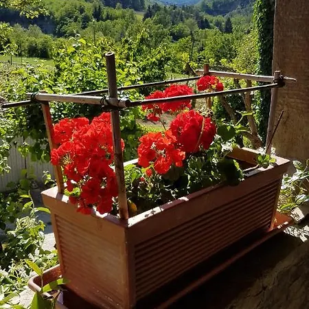 Bed & Breakfast #fortcozzo - Jacuzzisuite & Sauna - Casola Valsenio 3*