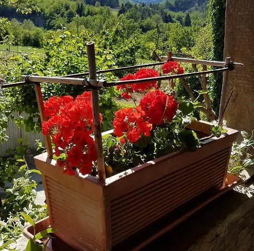 Bed & Breakfast #fortcozzo - Jacuzzisuite & Sauna - Casola Valsenio 3*